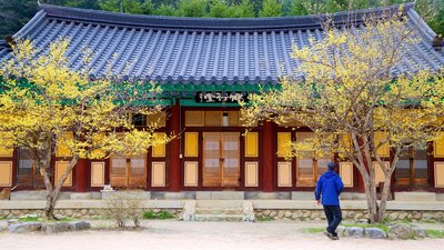 🏞️ 부채 들판 전망대(오기가하라 텐보우다이) 이미지 2